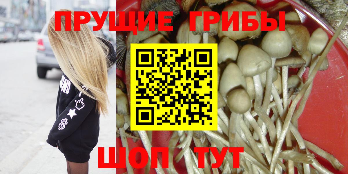 Галлюциногенные грибы Psilocybine cubensis  Вход с VPN  Галлюциногенные грибы GOLDEN TEACHER  Троицк 